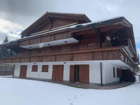 Spa Chalet in Ground Floor Cozy Duplex